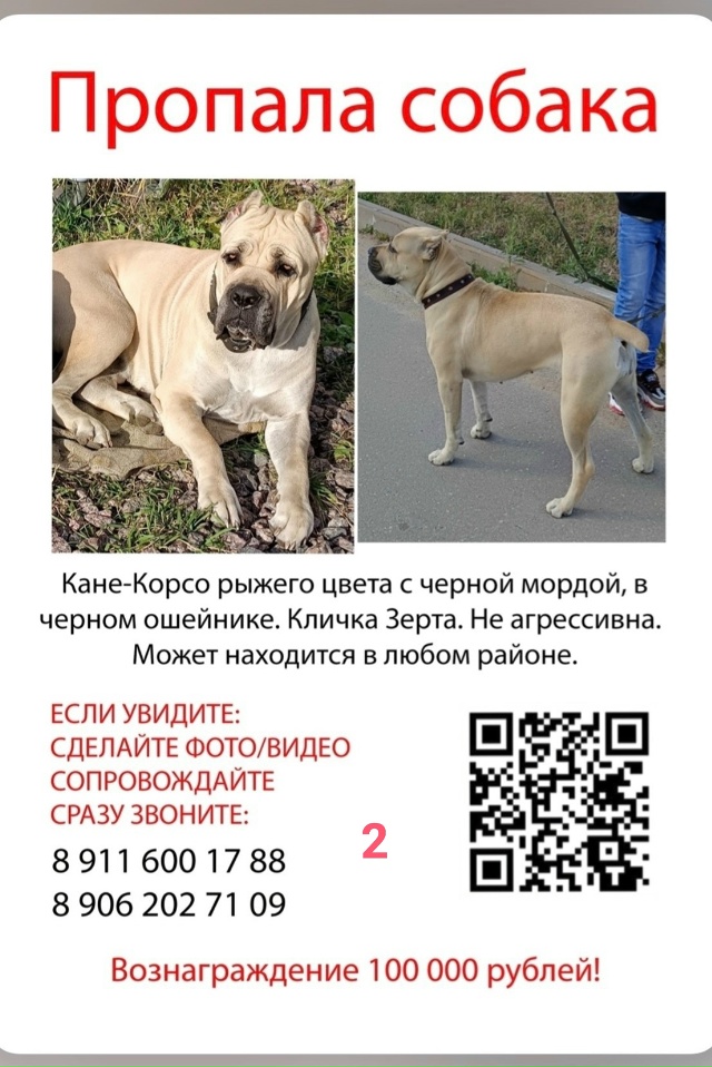 #ПотерялиНашлиПомогите
1 Пропал кот Тишка! 🆘
Дорогие ...