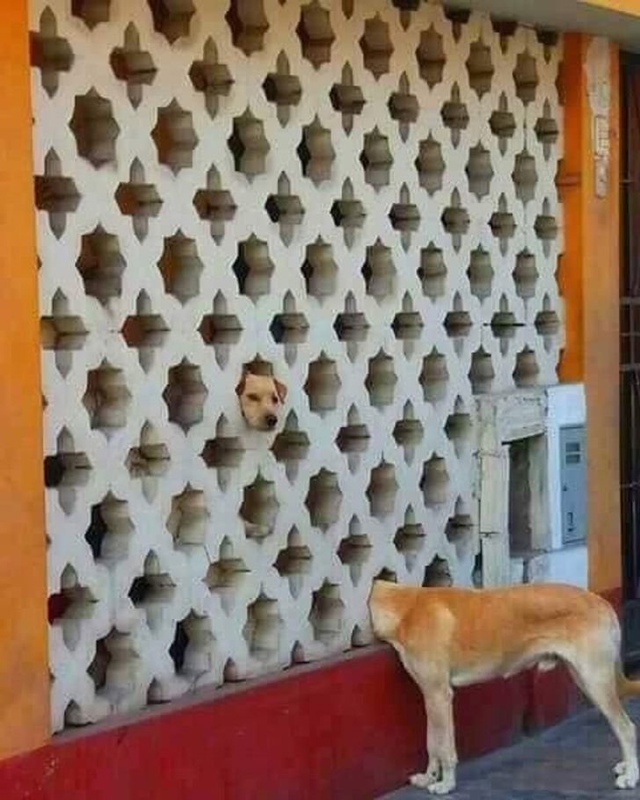 Как это развидеть? 😳