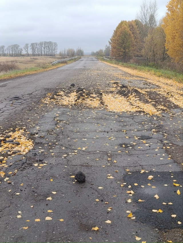 это в забелой дорога на Печенкино дальше поворота на М?...