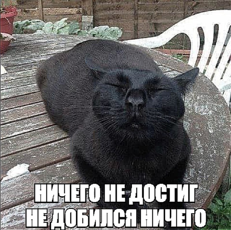 Утренняя подборочка