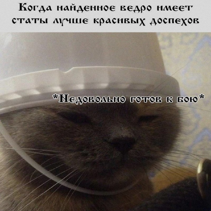 Ночная подборочка
Спать, режим