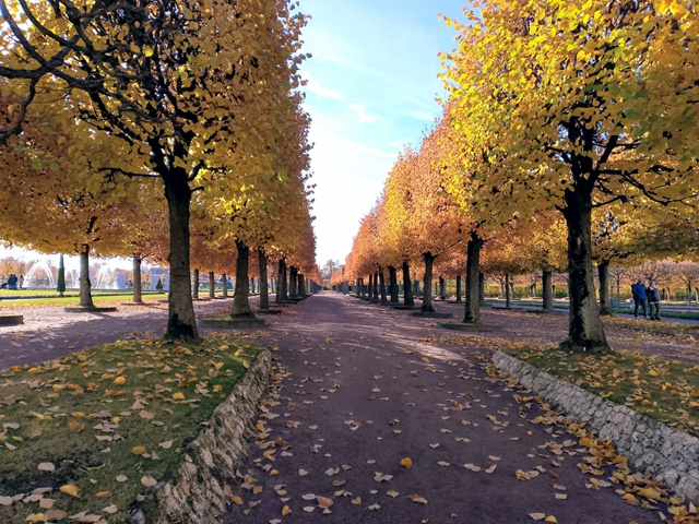 Петергоф в середине октября