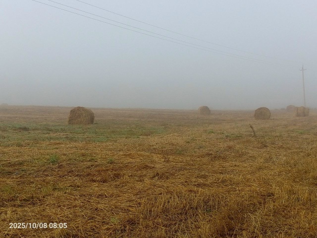 Ну как же не любить Россию?
Я тут родился, вырос и живу! ...
