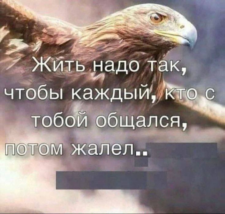 жизненное кредо, которому следует моя мать, когда мы встречаемся и я решаю рассказать ей свои новост