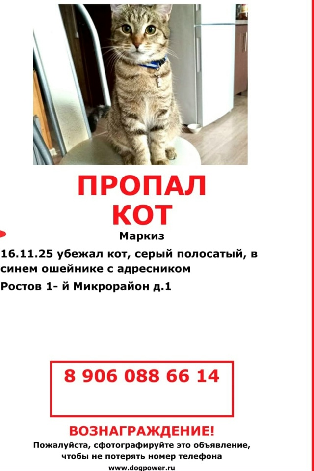 Пожалуйста, если кто видел или приютил может быть, отзо...