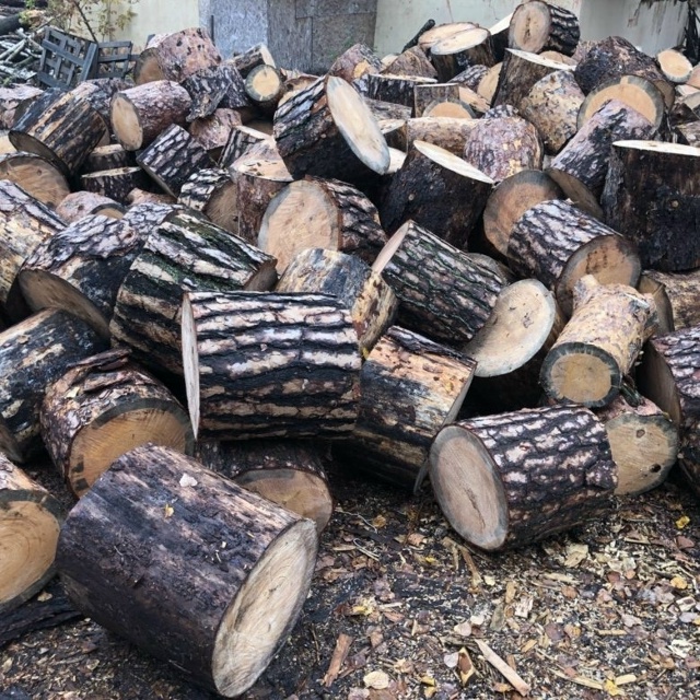 Продам дрова вперемешку ива, береза, тополь 1 500 рублей 5...