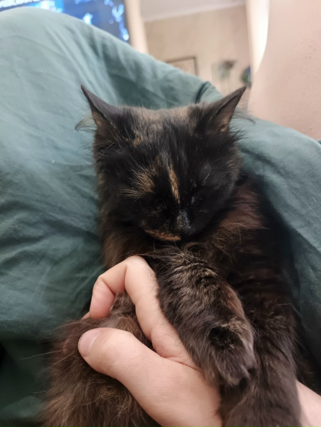 Отстань, кожаный, положи обратно