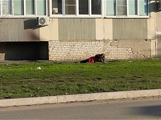 Погодка шепчет ☀️