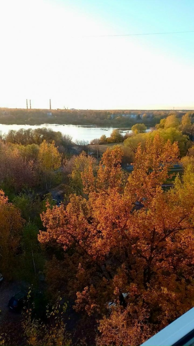 Продать свою квартиру собираясь,
Я подготовила для ва?...