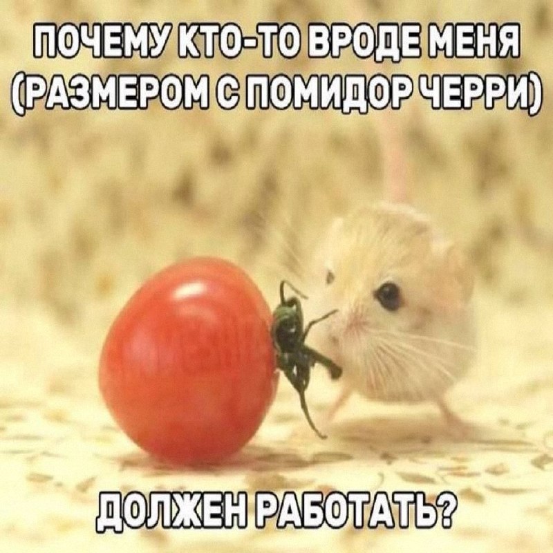 Утренняя подборочка