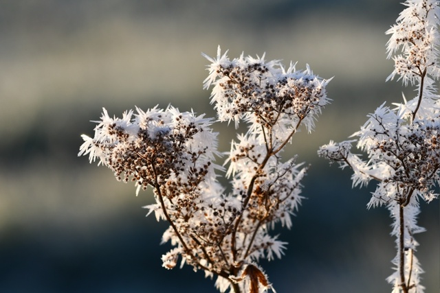 Сказочное фото!
Фото: [id451441227|Олег Сотников ]