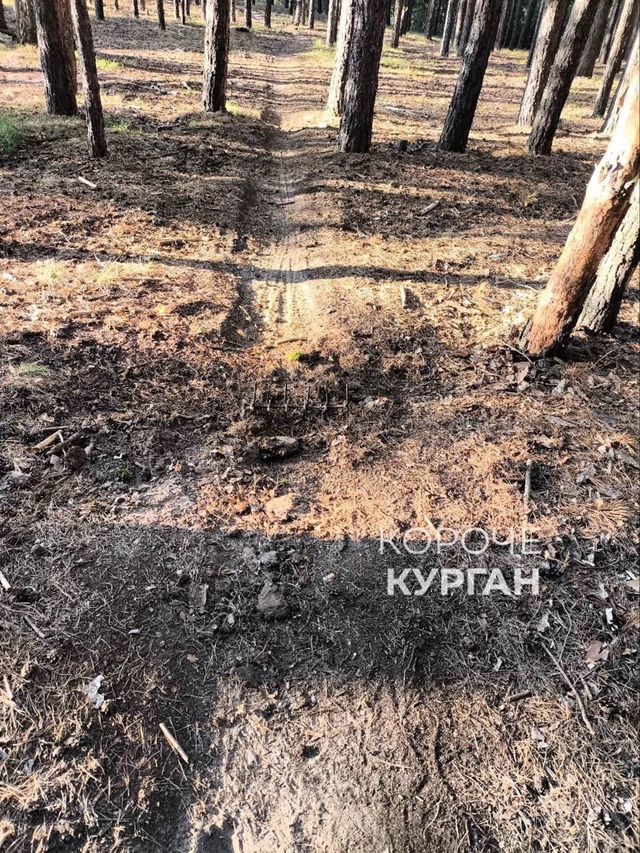 В курганской области люди начали сами бороться с питба...