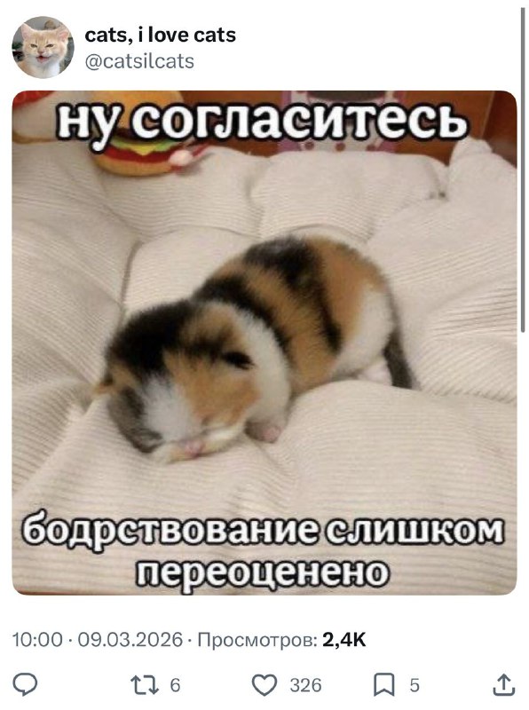 Те самые мысли, когда проспала весь выходной в понедельник 😂