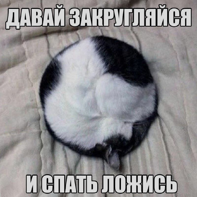 Ночная подборочка
Спать, режим