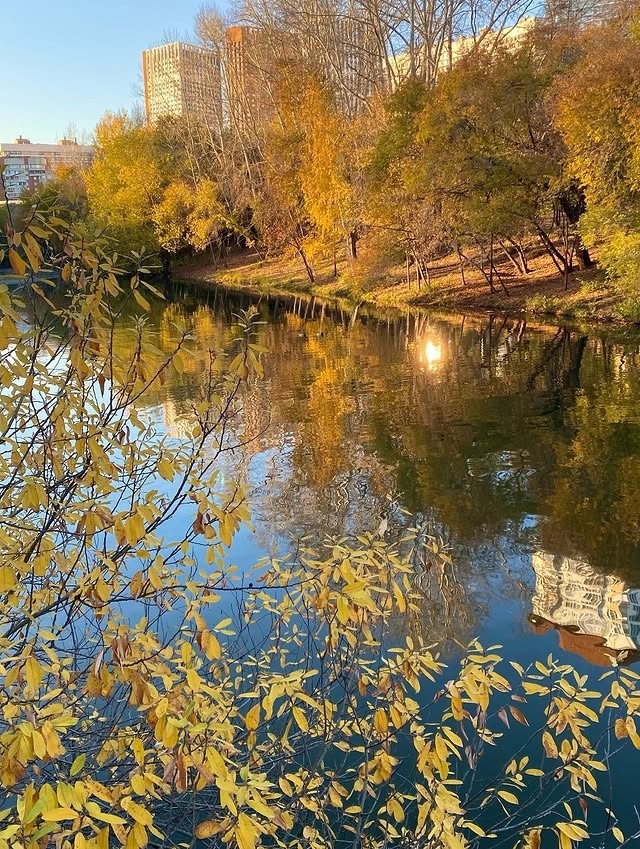 Осенние пейзажи 🍁