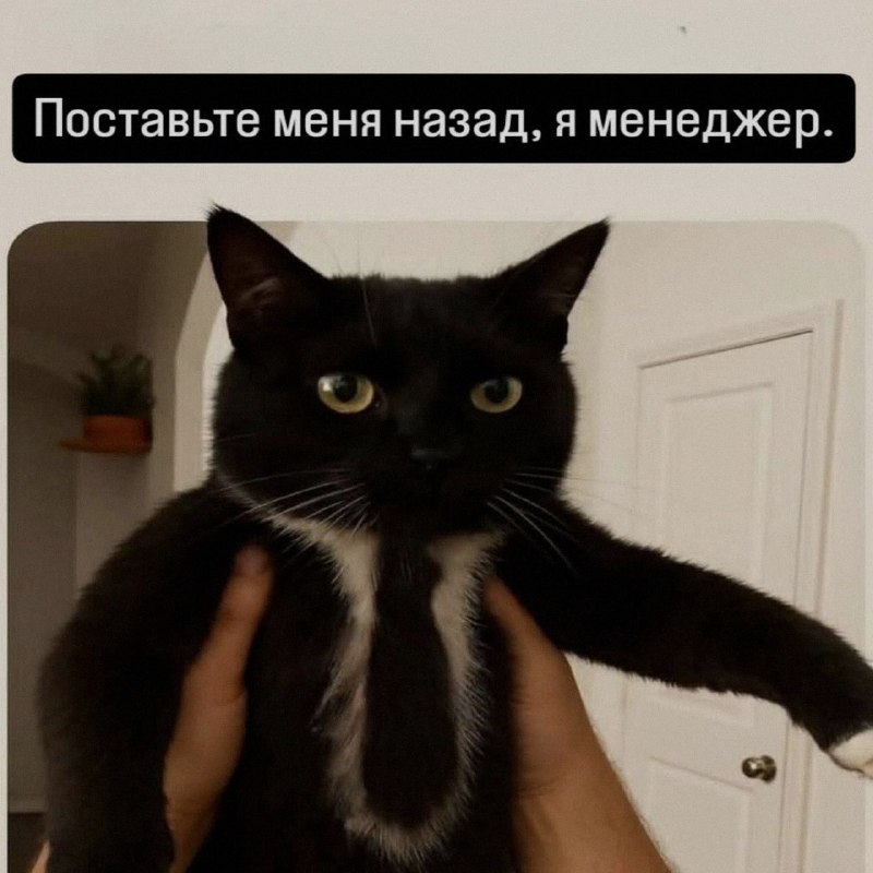 Ночная подборочка
Спать, режим