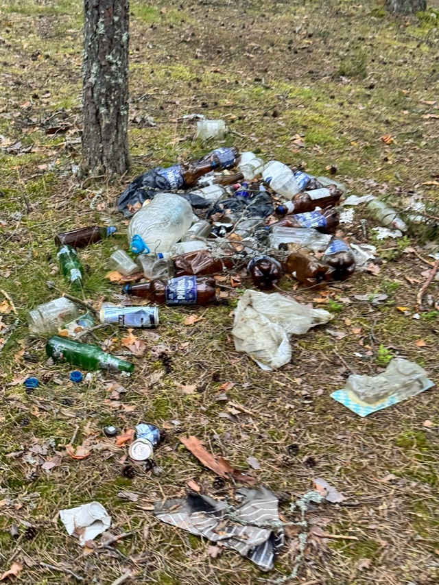 Когда с 1 сентября животным нельзя будет посещать пляж?...