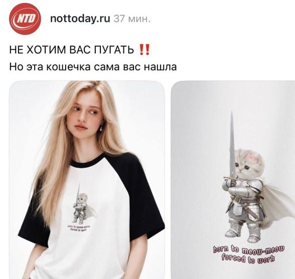 Милота: бренд Not Today выпустил футболку с тем самым мемным храбрым котёнком.
Теперь нам всем это