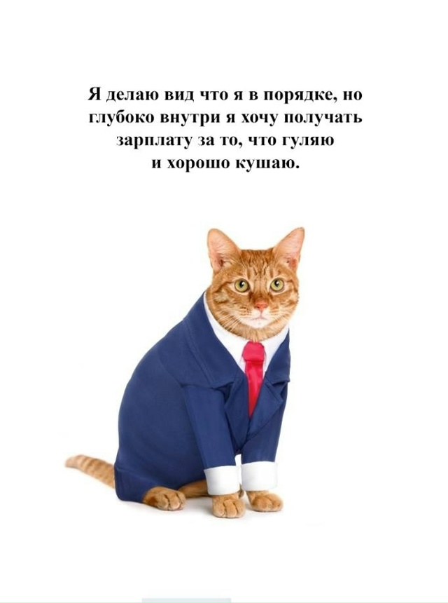 Всем легкого понедельника!