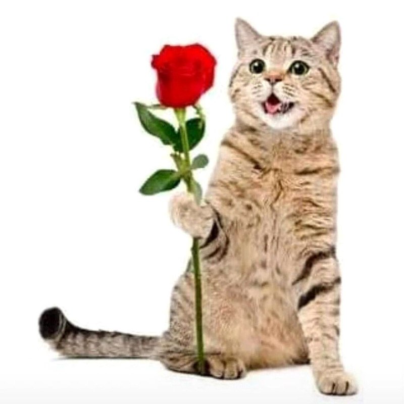 Парни сегодня типо: