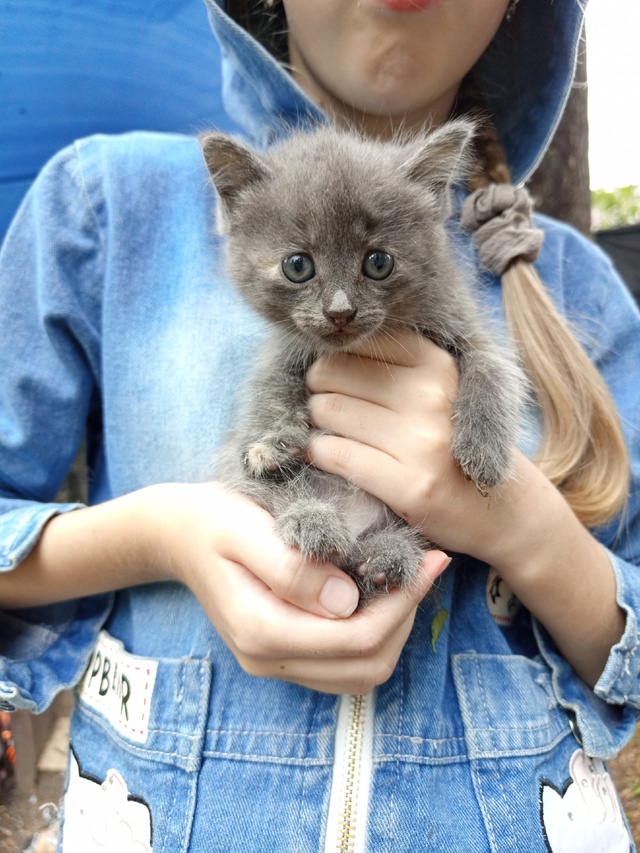 Ищем дом для маленьких очаровашек 😍 находятся в посел...