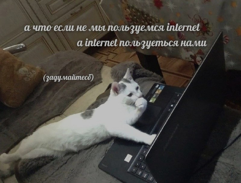 Ночная подборочка
Спать, режим