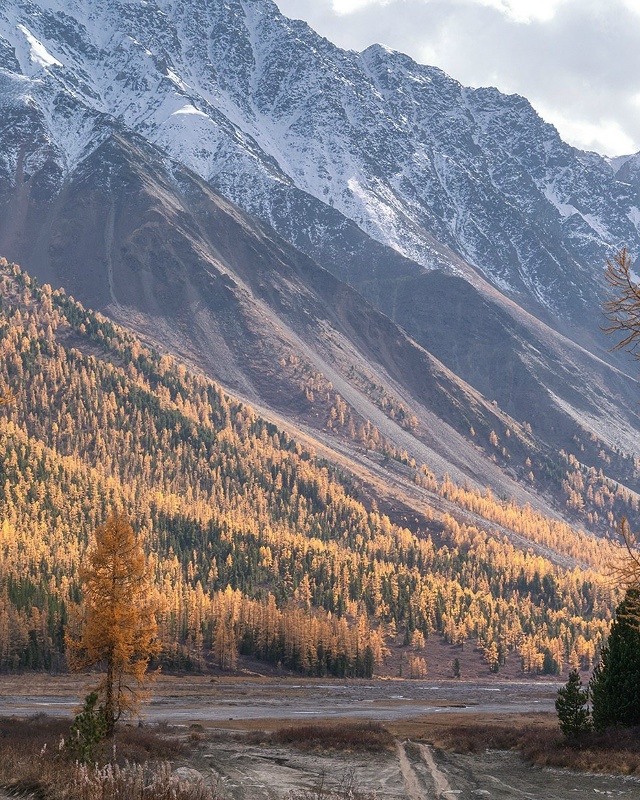 Актру, Алтай 🇷🇺