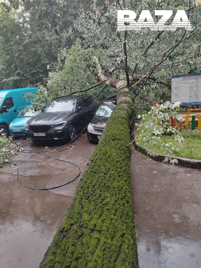 А в это время из Москвы приходят такие видеоновости:
М?...
