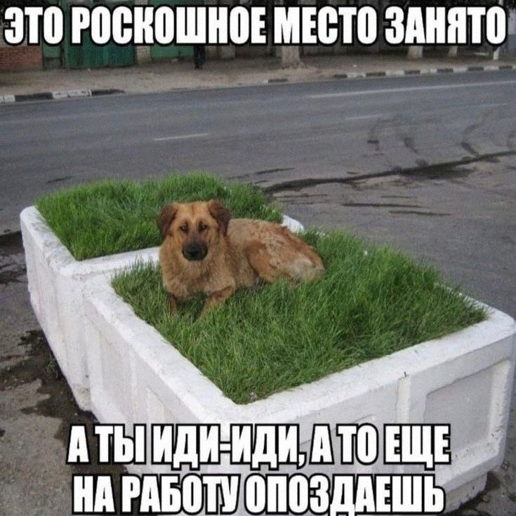 Утренняя подборочка