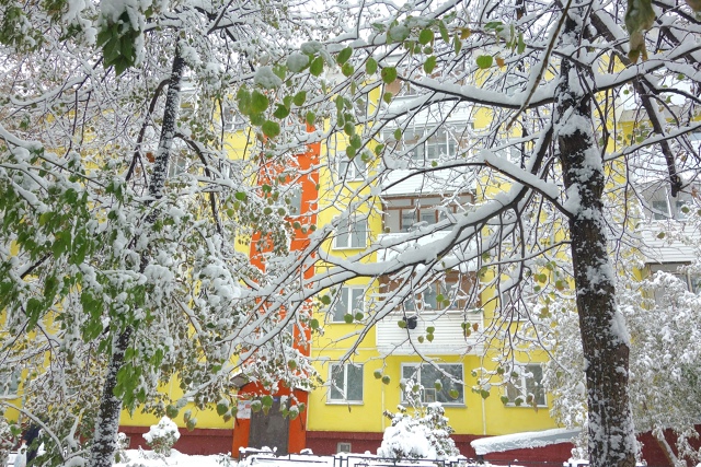 Бeлocнeжнaя oceнь в Ηoвocибиpcкe ❄🍂
Φoтo: Лeнa Γaлкинa