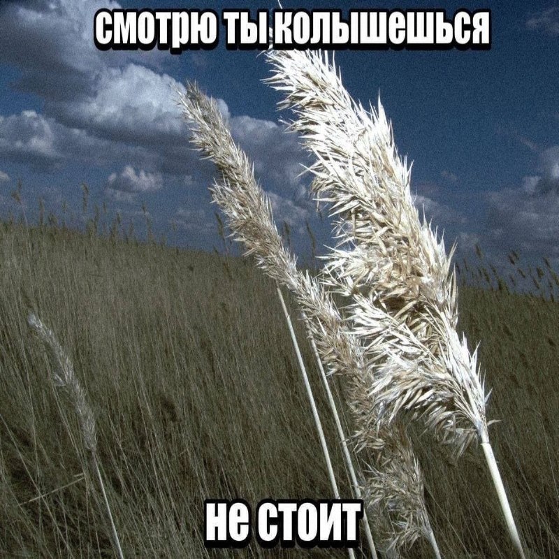 Утренняя подборочка