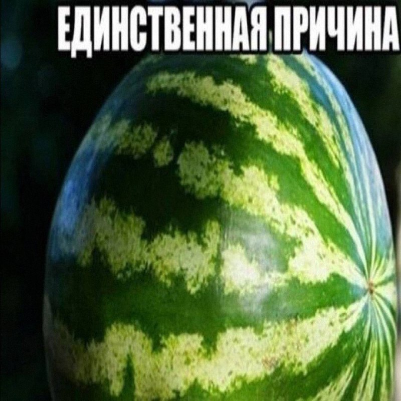 Утренняя подборочка