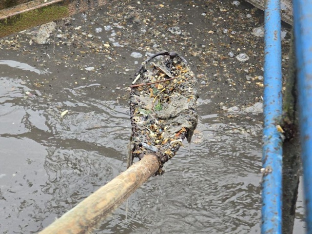 Тряпки, пищу и предметы личной гигиены вылавливают из ?...