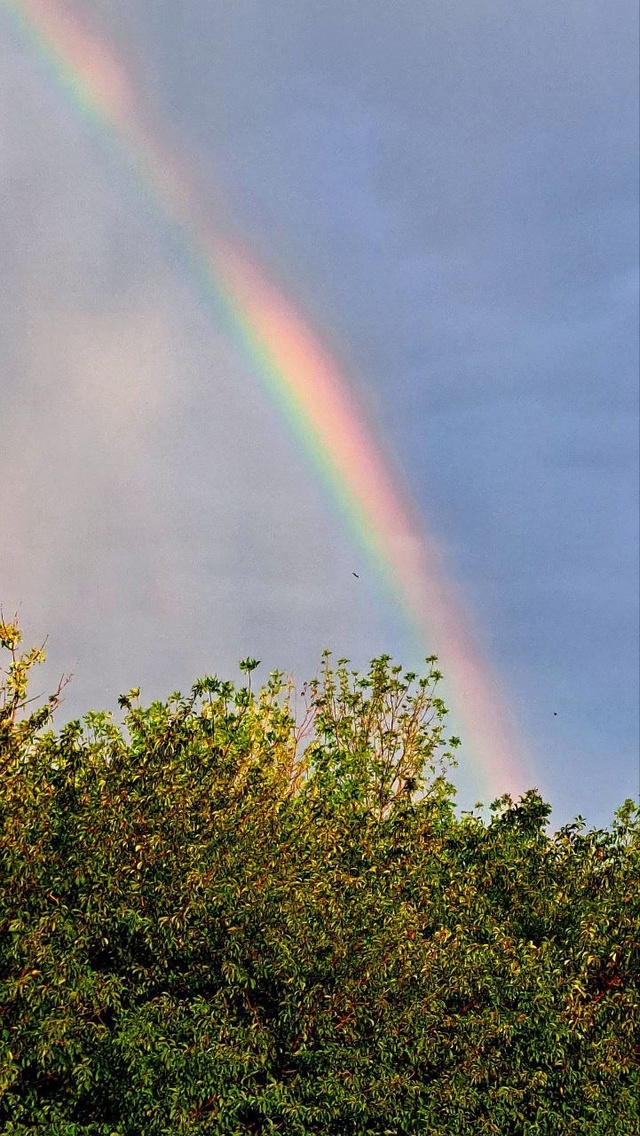 🌈 фото от подписчиков