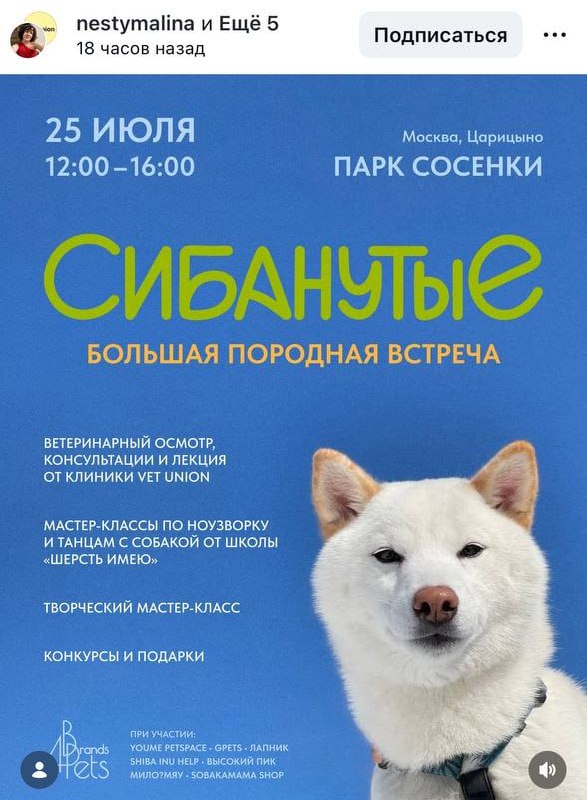 Хихик: в Москве пройдёт масштабная встреча СИБАНУТЫХ — на ней будет зашкаливающее скопление любителе