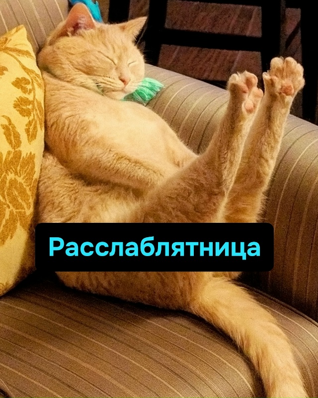 Рабочие дни придуманы зря, ведь по факту жить можно тол...