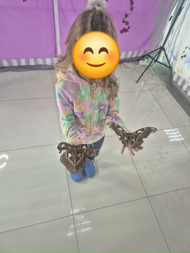 УВАЖАЕМЫЕ ЖИТЕЛИ ГОРОДА КОВРОВ !!!!!
У нас идёт финальна?...