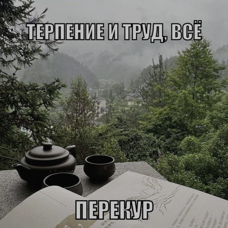 Ночная подборочка
Спать, режим