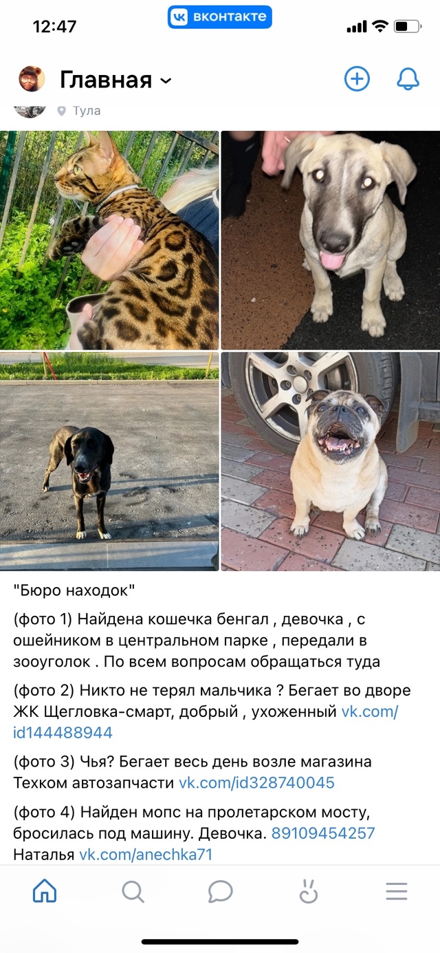 Вчера был пост о том,что потерялась кошка:подола-бенга?...