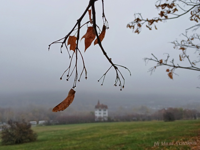 Осен, туманы в городе.
Последние краски осени.🎨
Тихо и...