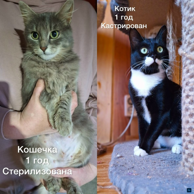 К ПРОЧТЕНИЮ КАЖДОМУ ЖИТЕЛЮ НАШЕГО ГОРОДА‼️
Забота о ?...