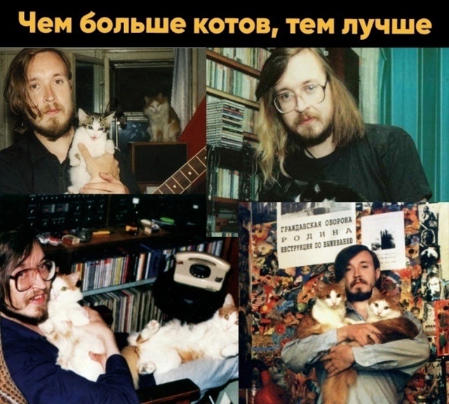 И все их любят