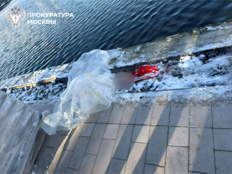 ❗️Голову расчленённого ребёнка 7-10 лет нашли в рюкзаке в Гольяновском пруду на востоке Москвы
Возб