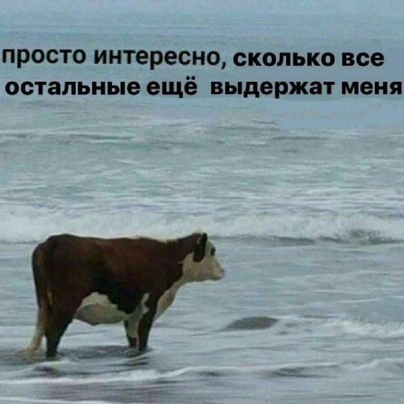 я после того, как просто был собой в компании близких людей