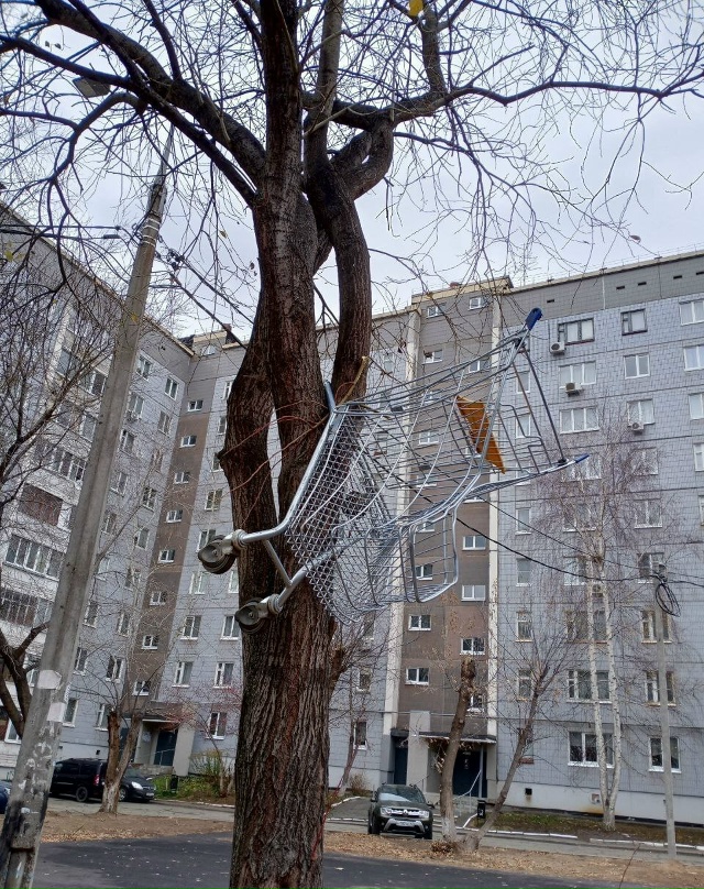 Вопрос - зачем?