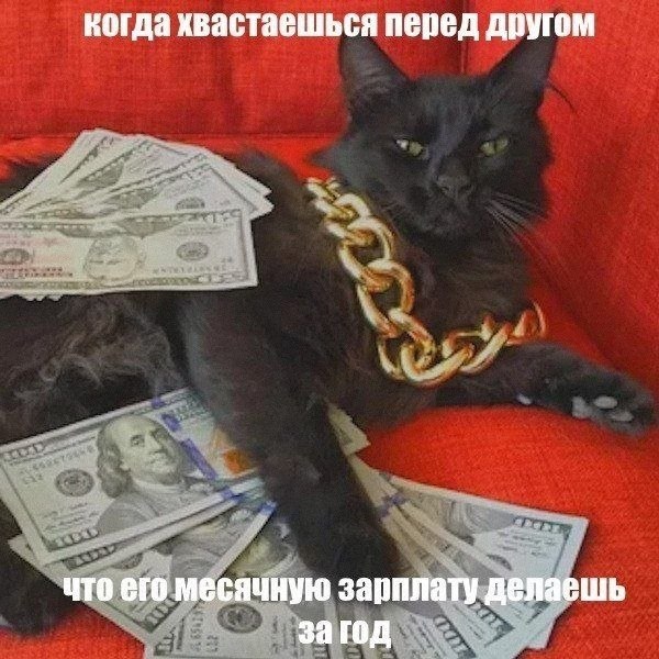 Утренняя подборочка
