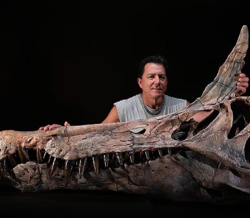 В Сахаре нашли прародителя дракона возрастом 95 миллионов лет.
Палеонтологи из Чикагского университ