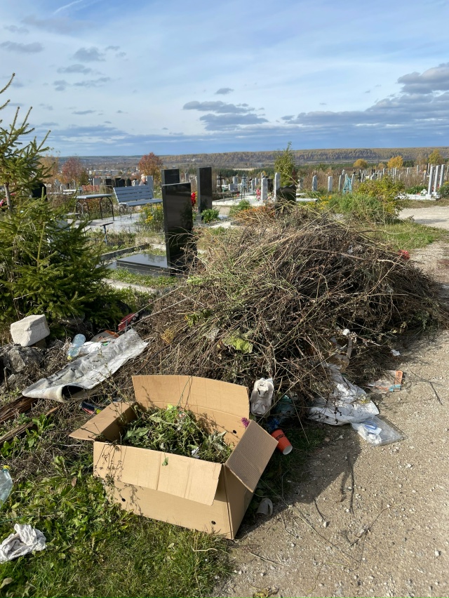 Люди, которые это сделали- Вы свиньи!!! Куча выросла за д...