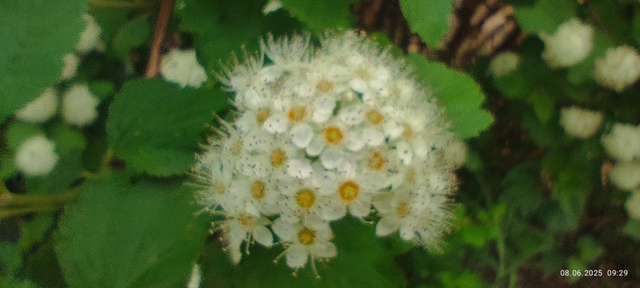 Частичка лета =) как прошло, успели отдохнуть и напитат?...