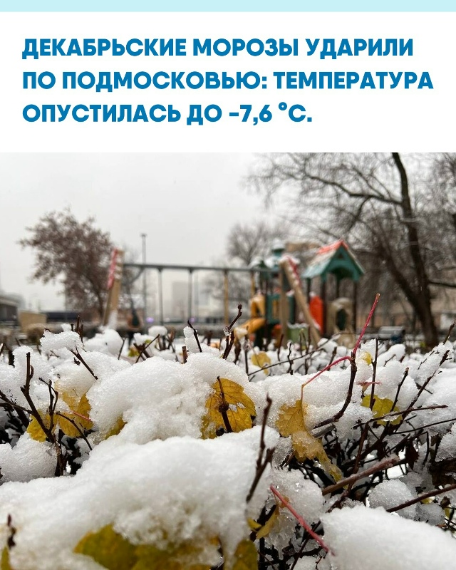 Ночью в Московском регионе резко похолодало. По данным...